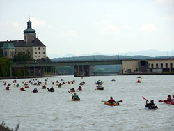 TID 2011